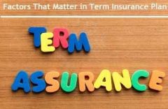 6 Factors That Matter in an Ideal Term Plan and Which Plans Have Them