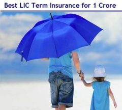 Best LIC Term Insurance for 1 Crore