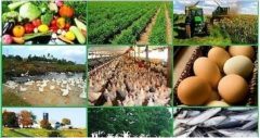 Top-and-Best-Small-Agricultural-Business-Ideas-with-Low-Investment