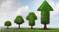 Aditya Birla Sun Life Nifty Smallcap 50 Index Fund NFO - Should you invest