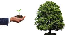 Best Large Cap Mutual Funds to invest in 2022 - Top 5 Largecap Mutual Funds in India