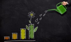 5 Equity Mutual Funds - Highest SIP Returns and 5 Star Rating by Crisil