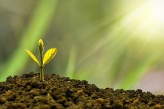 Sammaan Capital NCD Sep-2024 - Issue Details, Interest Rates and Review