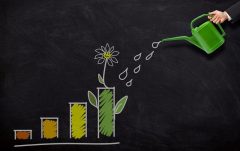 Best Mutual Funds- 6 Largecap Bluechip Funds Gave Over 13 Annualized Returns in 10 Years – Do You Own Any