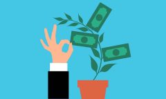Chemmanur Credits and Investments NCD June 2025 – Analysis and Review